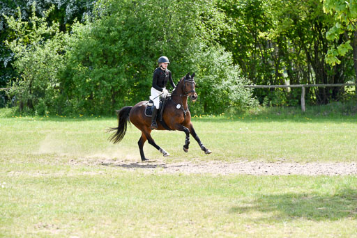  | 10052025 E Stilgelände _332 