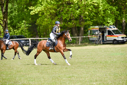  | 10052025 E Stilgelände _339 