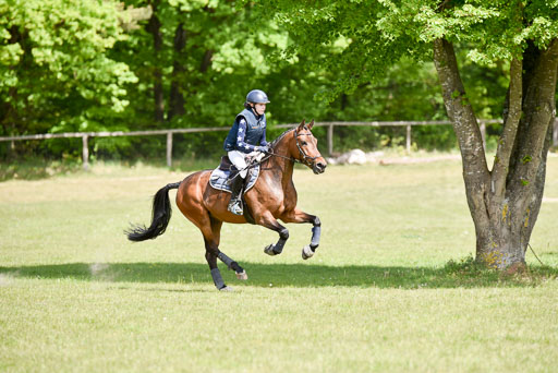  | 10052025 E Stilgelände _346 