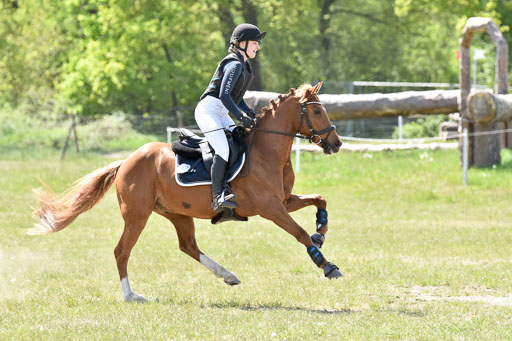  | 10052025 E Stilgelände _357 