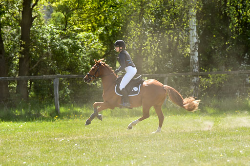  | 10052025 E Stilgelände _368 