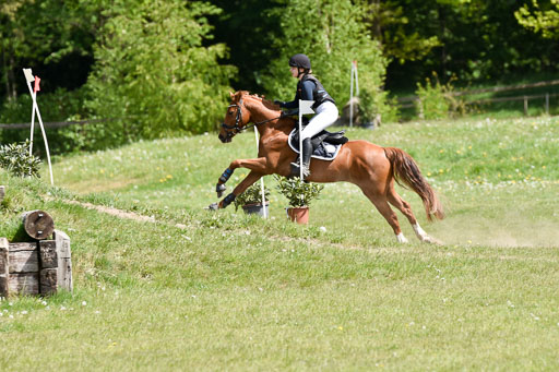  | 10052025 E Stilgelände _370 