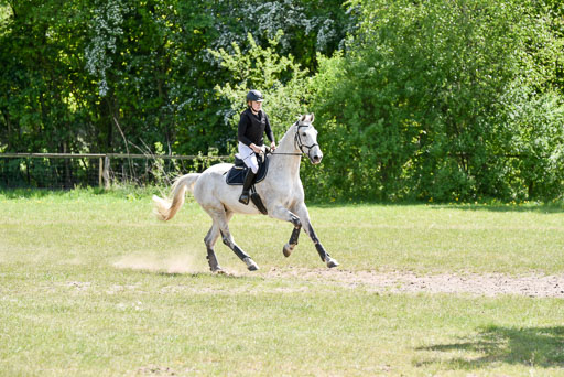  | 10052025 E Stilgelände _380 