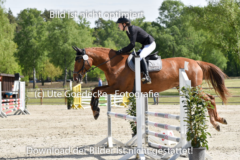  | 10052025 E Stilspringen_290 