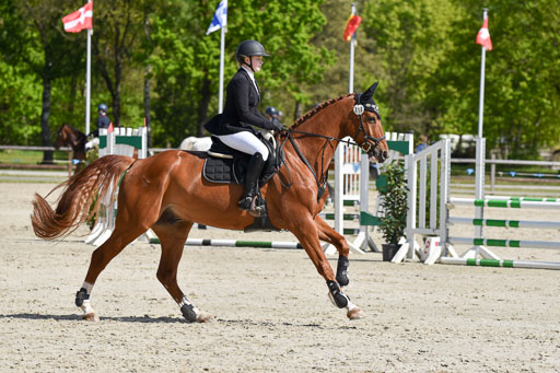 E Stilspringen