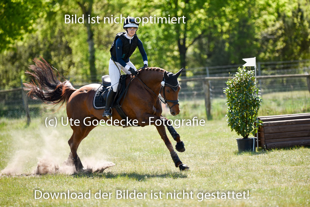  | 11052025 - Gelände A _219 