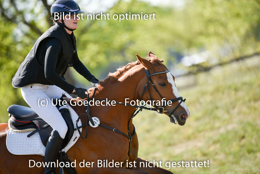 | 11052025 - Gelände A _253 