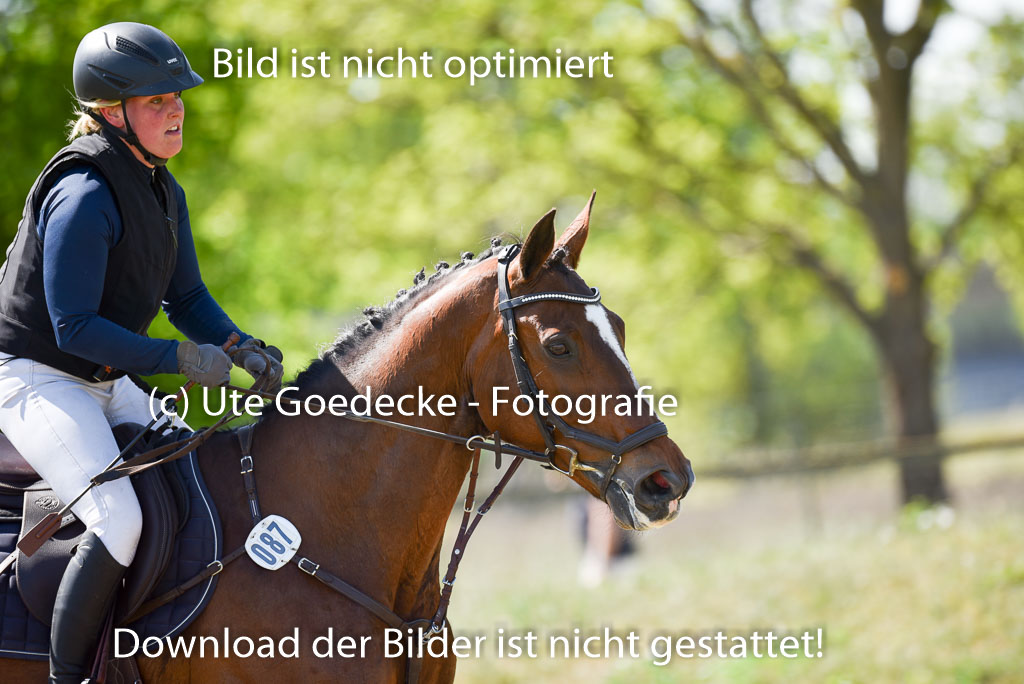  | 11052025 - Gelände A _651 