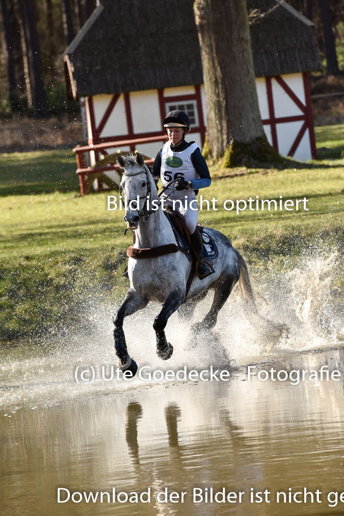  | Dinathia  -- Sara ALGOTSSON OSTHOLT (SWE)_06 