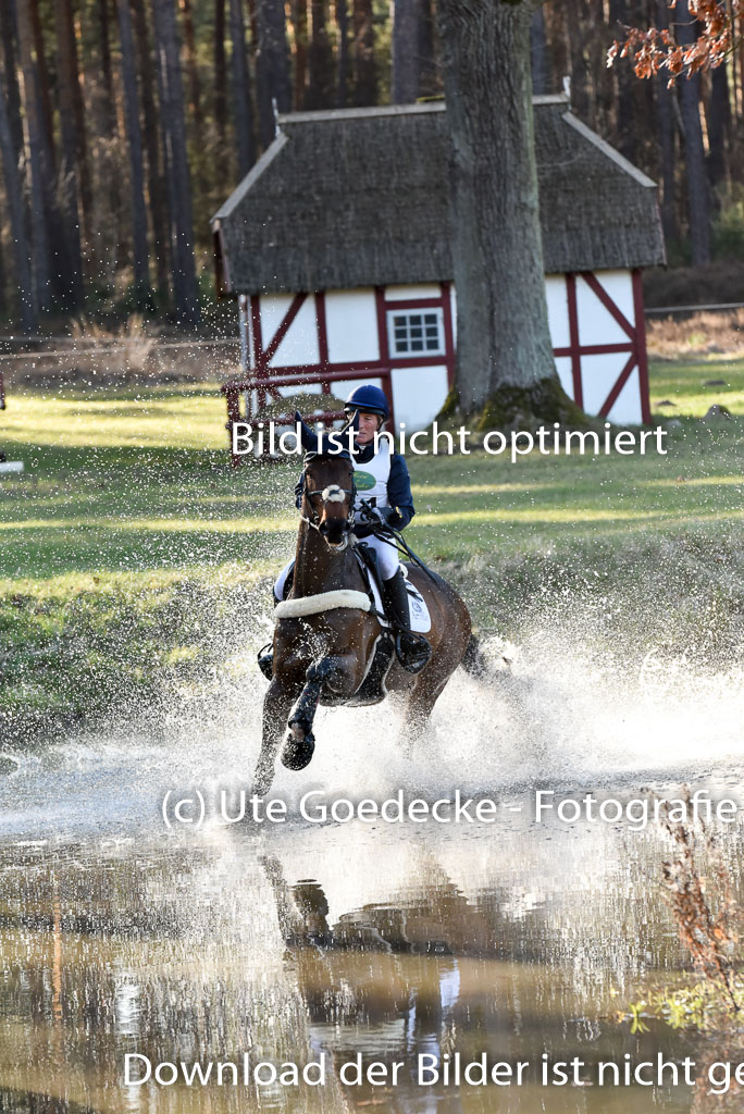  | Kiarado d'Arville --  Lara DE LIEDEKERKE-MEIER (BEL)_01 