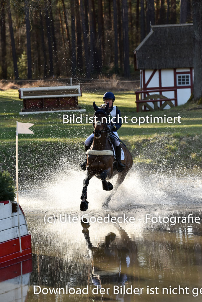  | Kiarado d'Arville --  Lara DE LIEDEKERKE-MEIER (BEL)_02 