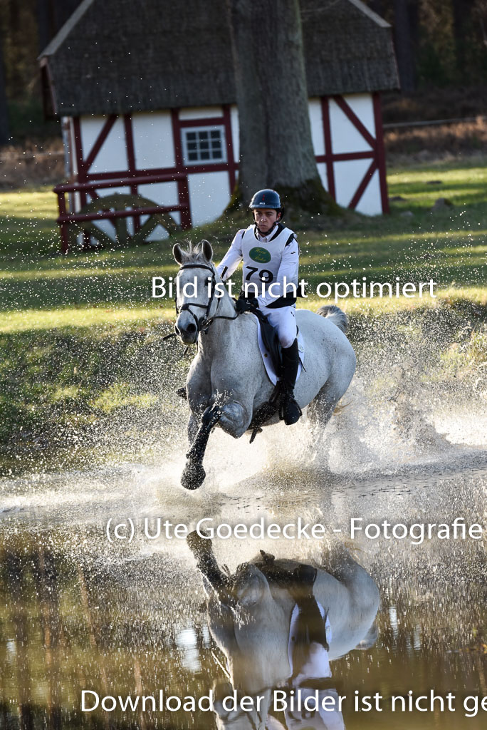  | Shannondale Gambit --  Kyle Charles MORTON (CAN_06 