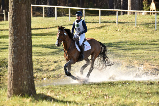  | Canna There He Is  -- Anne KOK (NED)_01 