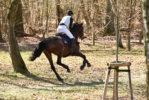  | FRH Butt's Avondale -- Anna SIEMER (GER) 