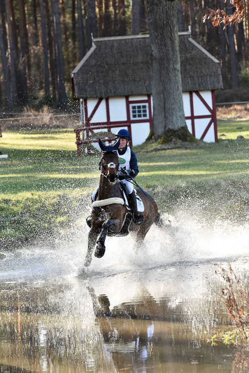  | Kiarado d'Arville --  Lara DE LIEDEKERKE-MEIER (BEL)_01 