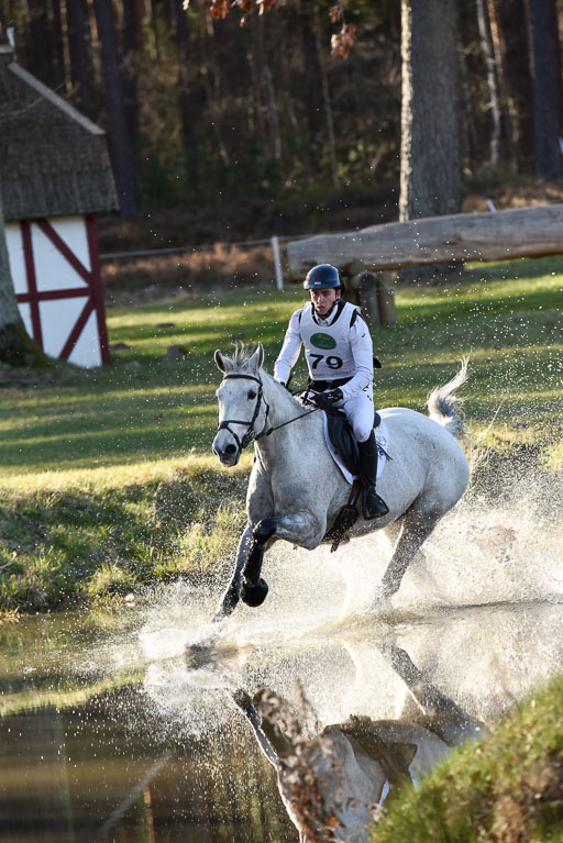  | Shannondale Gambit --  Kyle Charles MORTON (CAN_03 