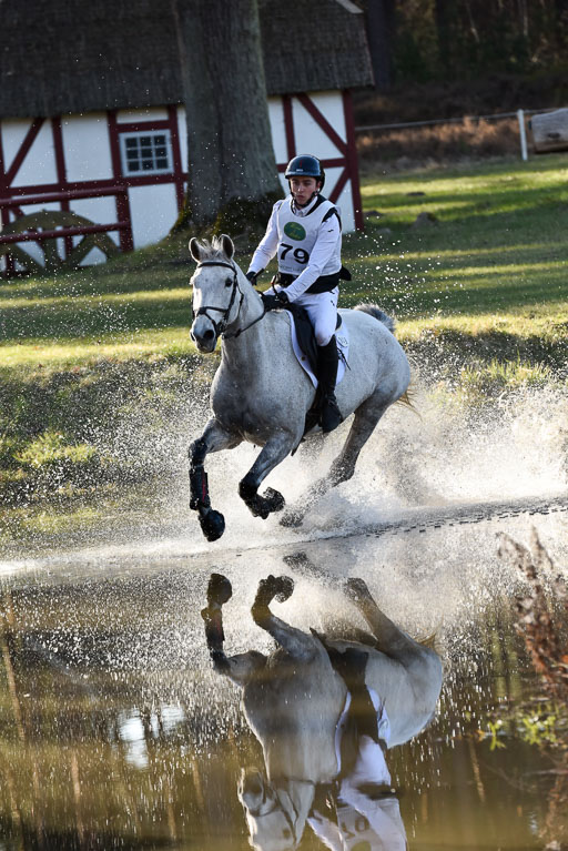  | Shannondale Gambit --  Kyle Charles MORTON (CAN_05 