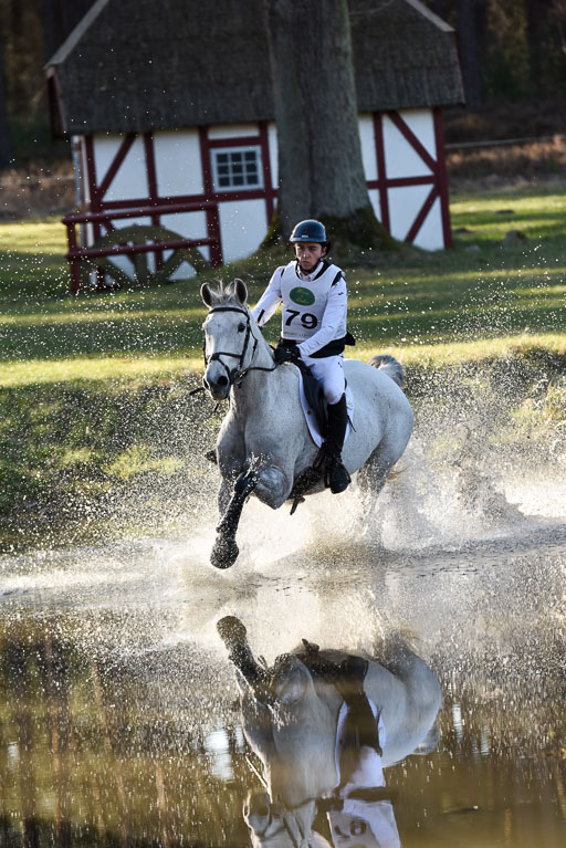  | Shannondale Gambit --  Kyle Charles MORTON (CAN_06 