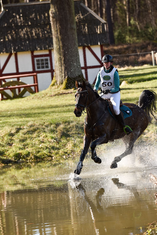  | Solid Dream de Jolie Z  -- Nele REVYN (BEL)_03 