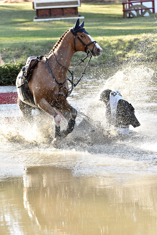  | Sotomayor  --- Klara LIDEN KIRALY (SWE)_34 
