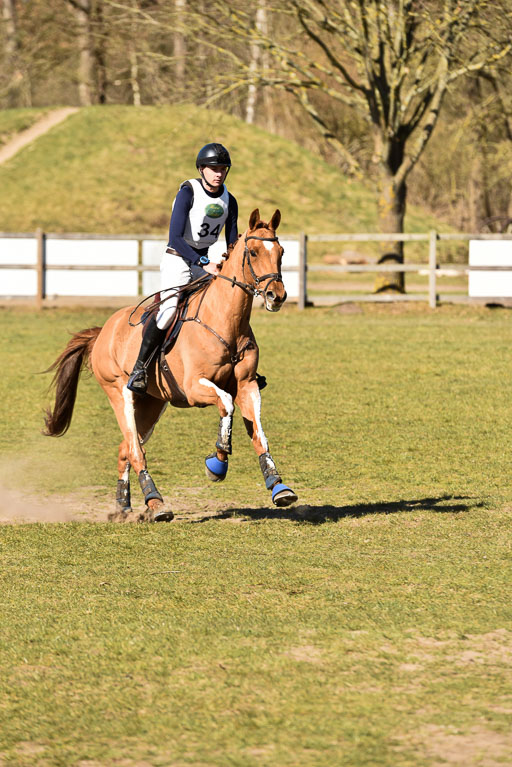  | The Joker --- Tijn DE BLAAUW (NED) 
