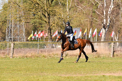 Luhmühlen Stilgelände  03042025