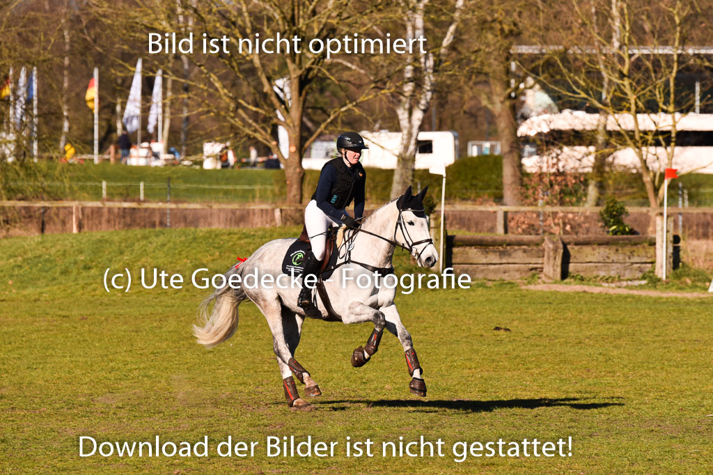  | 03042025  Stilgelände E_137 
