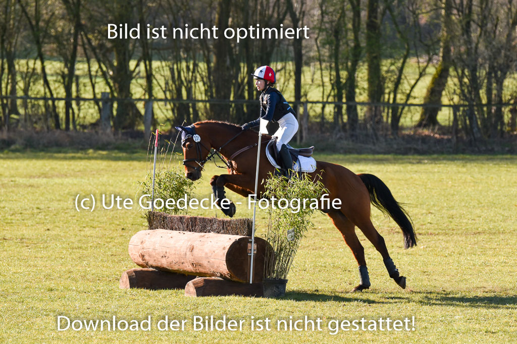  | 03042025  Stilgelände E_181 