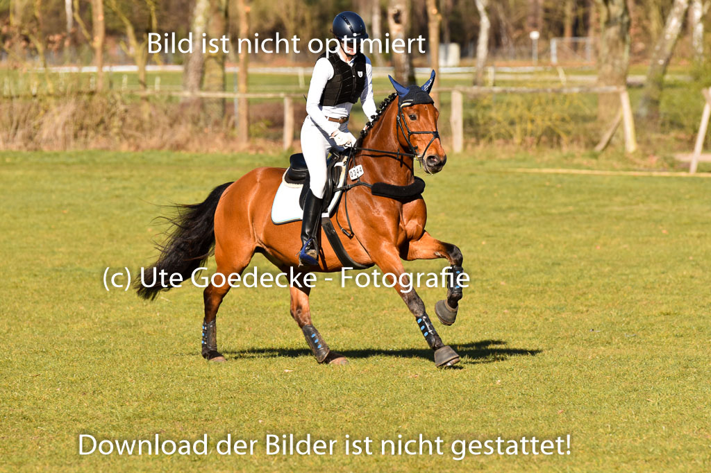  | 03042025  Stilgelände E_193 