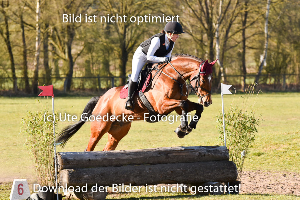  | 03042025  Stilgelände E_209 