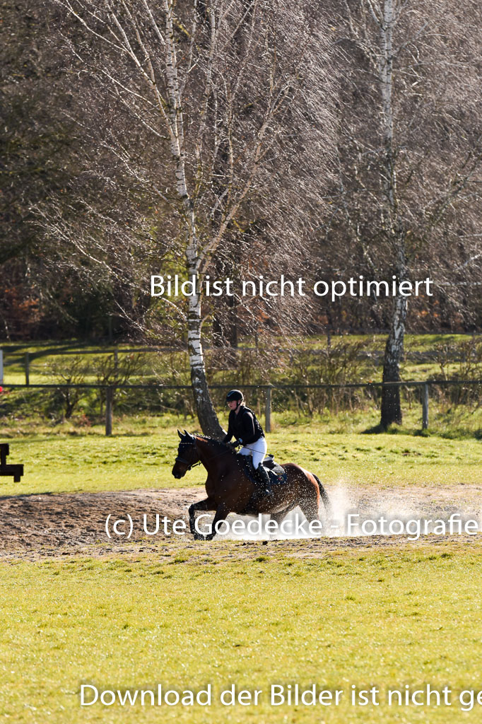  | 03042025  Stilgelände E_217 
