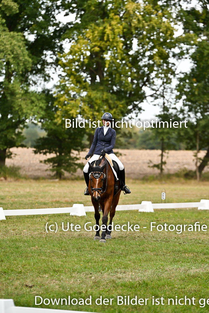  | 27092025 Dressur _01 
