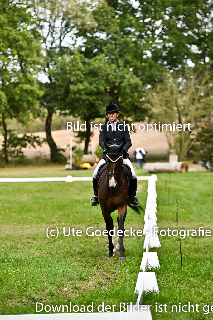  | 27092025 Dressur _05 