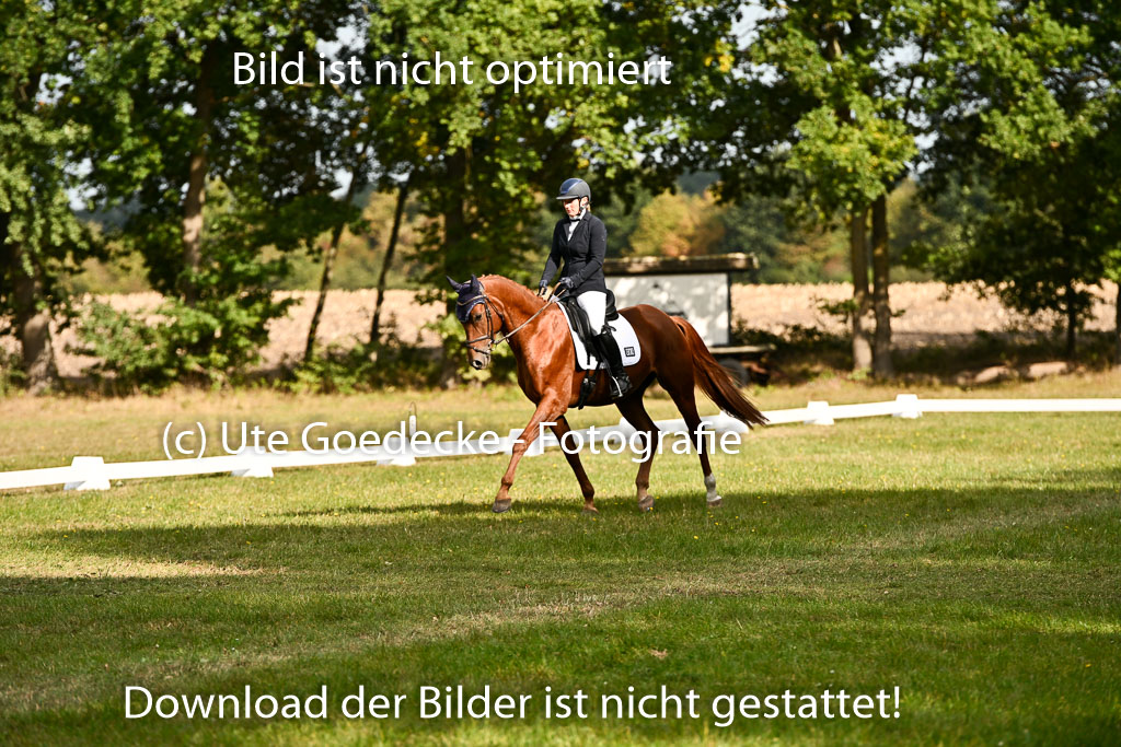  | 27092025 Dressur _09 