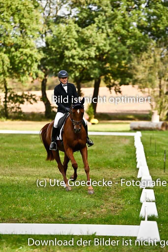  | 27092025 Dressur _12 