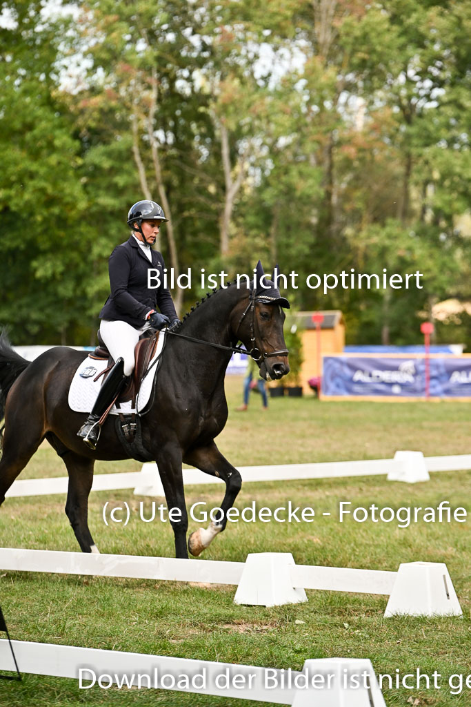  | 27092025 Dressur _13 