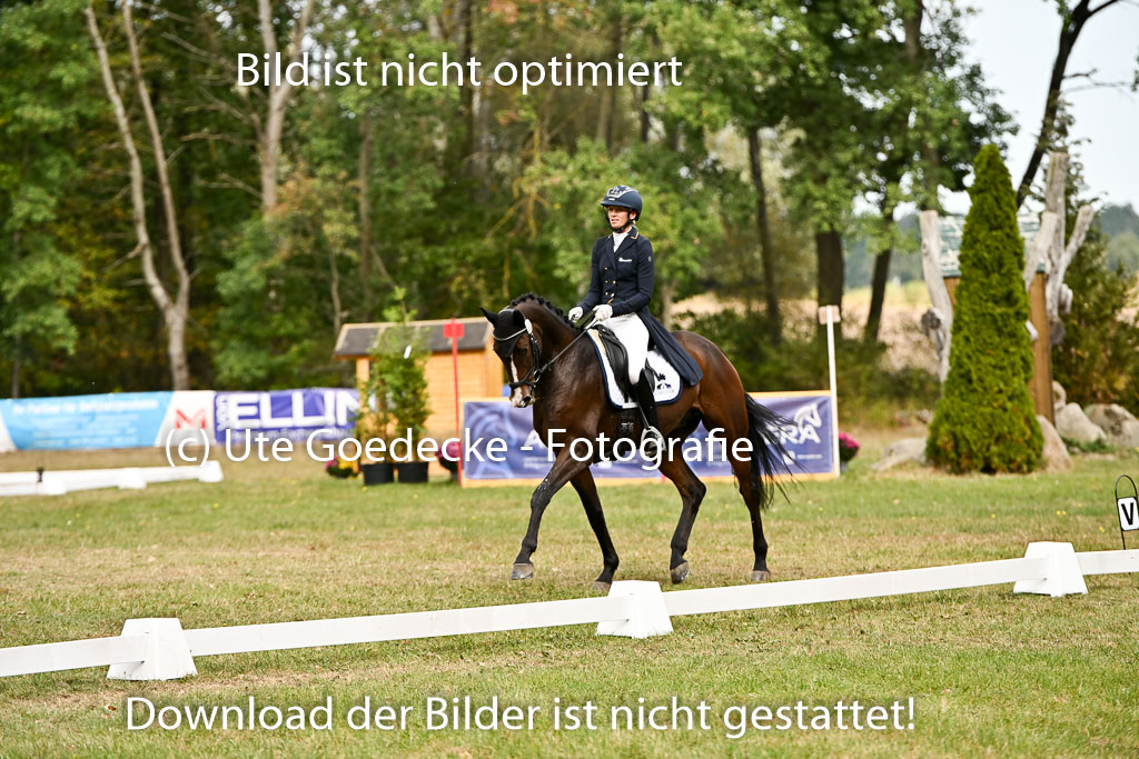  | 27092025 Dressur _14 