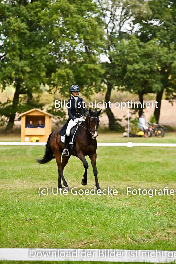  | 27092025 Dressur _19 