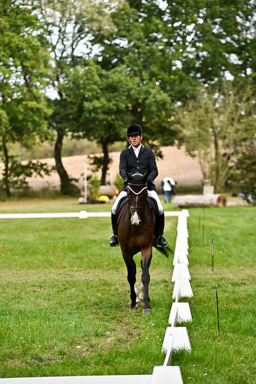  | 27092025 Dressur _05 