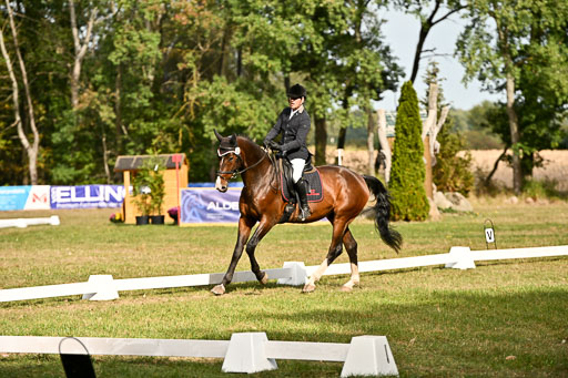  | 27092025 Dressur _06 