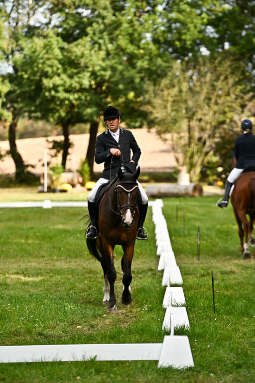  | 27092025 Dressur _07 
