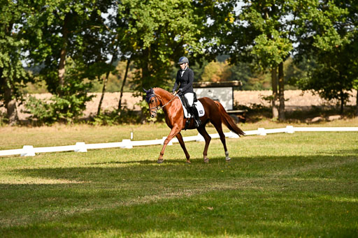  | 27092025 Dressur _09 