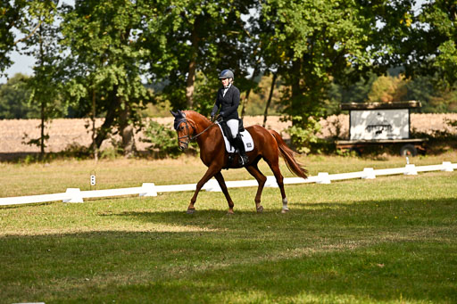  | 27092025 Dressur _10 