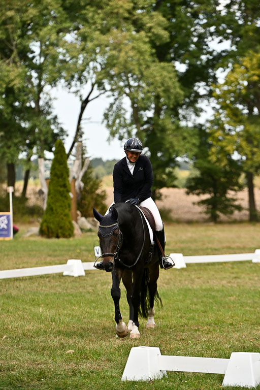  | 27092025 Dressur _16 
