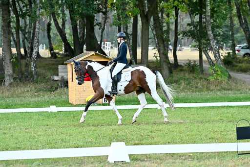  | 28092025 Dressur Intro _001 