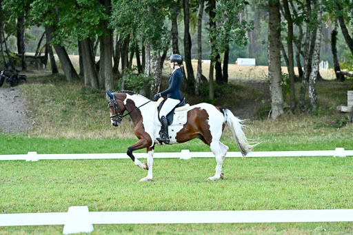  | 28092025 Dressur Intro _002 