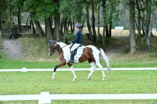  | 28092025 Dressur Intro _003 