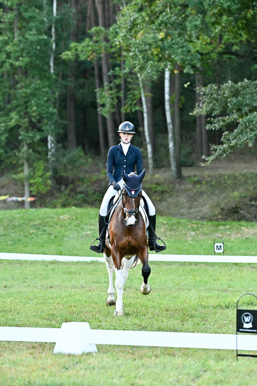  | 28092025 Dressur Intro _004 