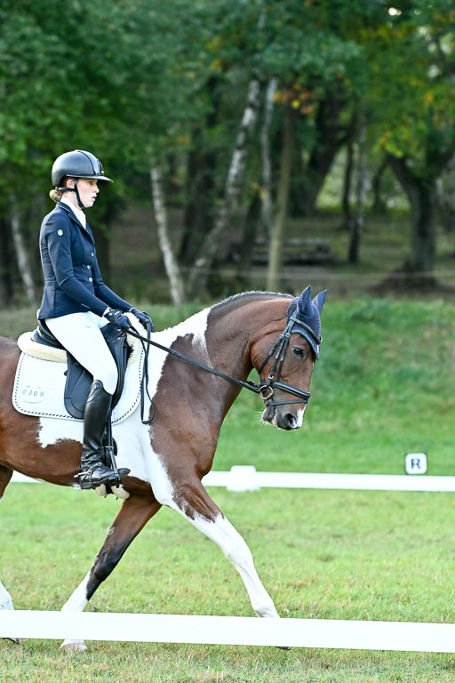  | 28092025 Dressur Intro _005 