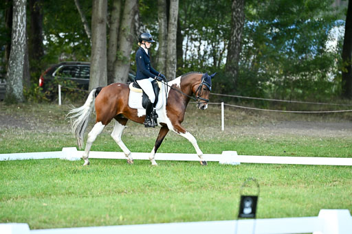  | 28092025 Dressur Intro _006 